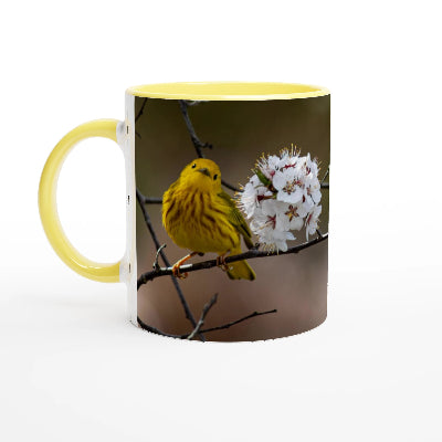 Tasse-Paruline-jaune-profil-jaune