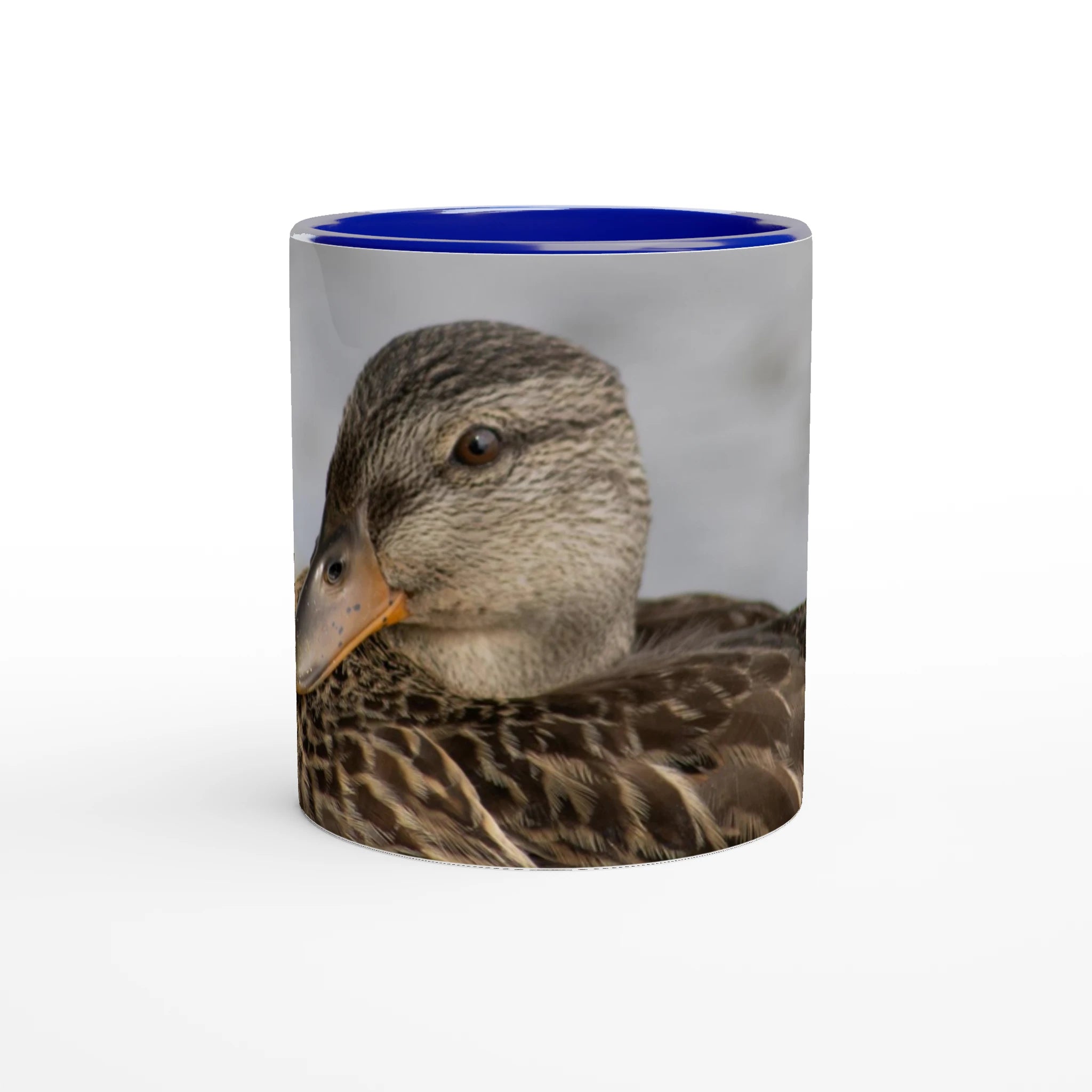 Tasse-canard-colvert-femelle-bleue