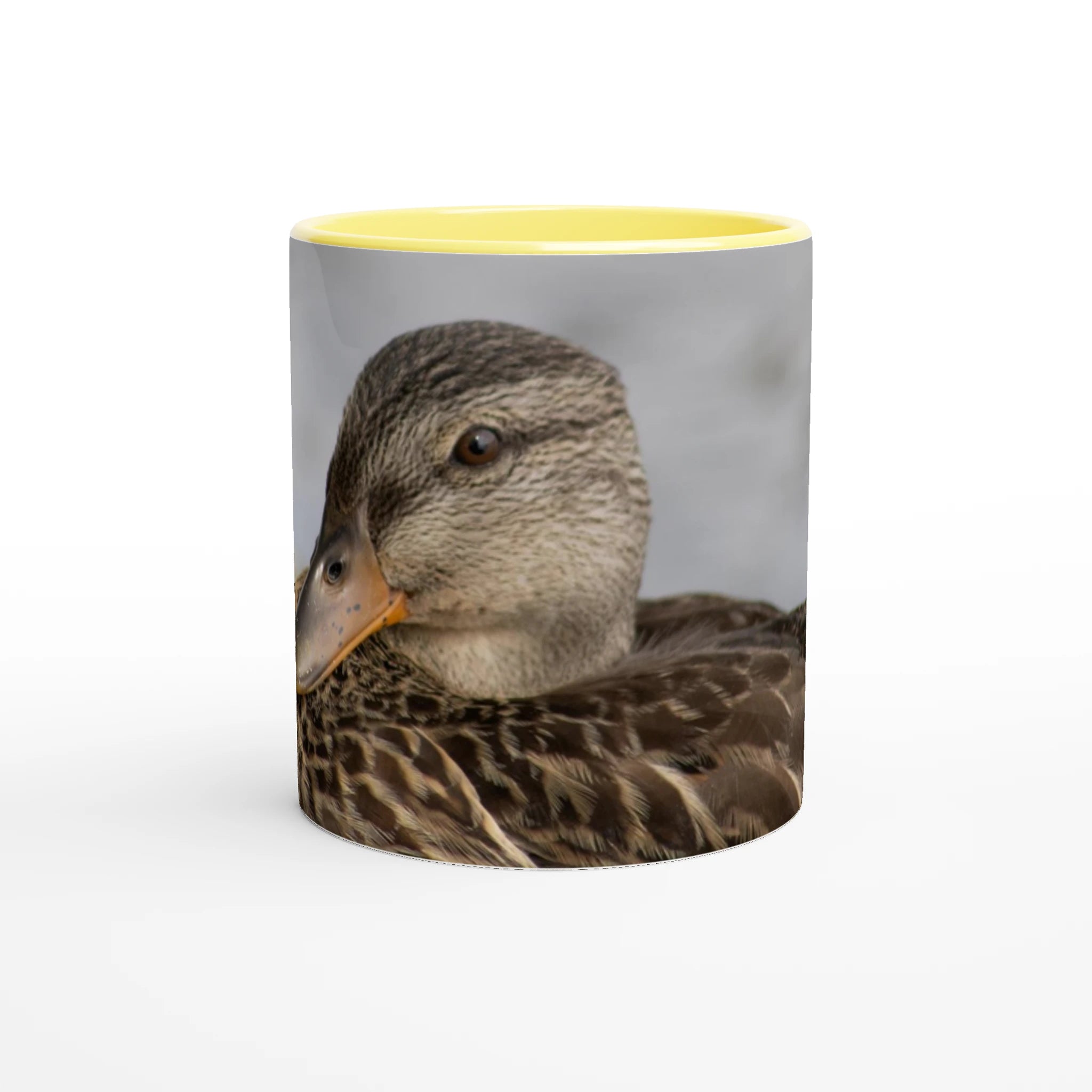 Tasse-canard-colvert-femelle-devant-jaune