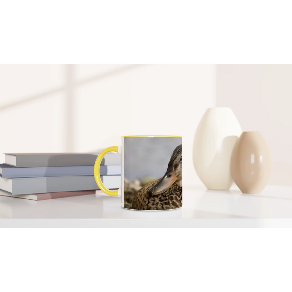 Tasse-canard-colvert-femelle-devant-montage