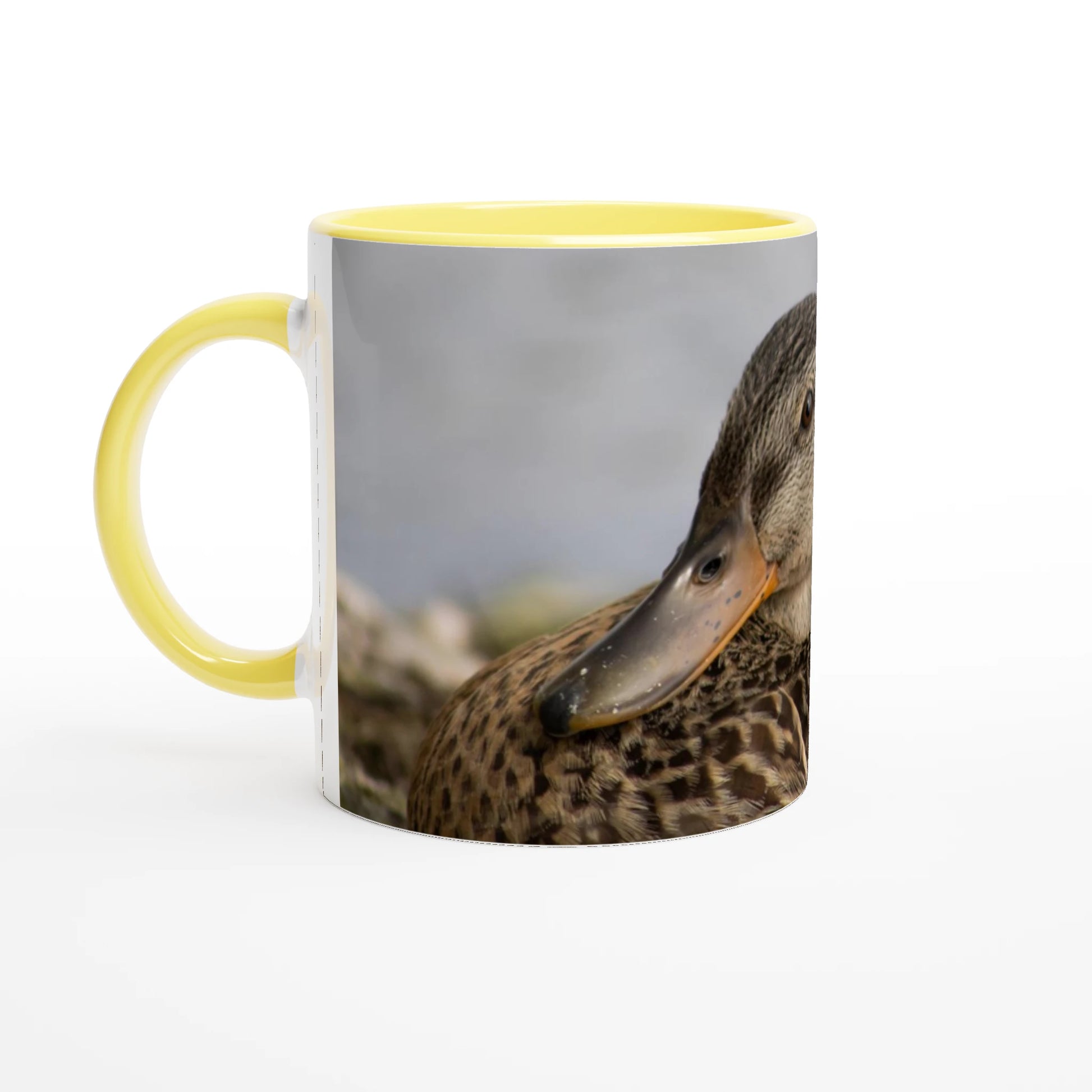 a17cb1eb-4bf6-Tasse-canard-colvert-femelle-jaune4d62-8c5d-7aaa73050fd3
