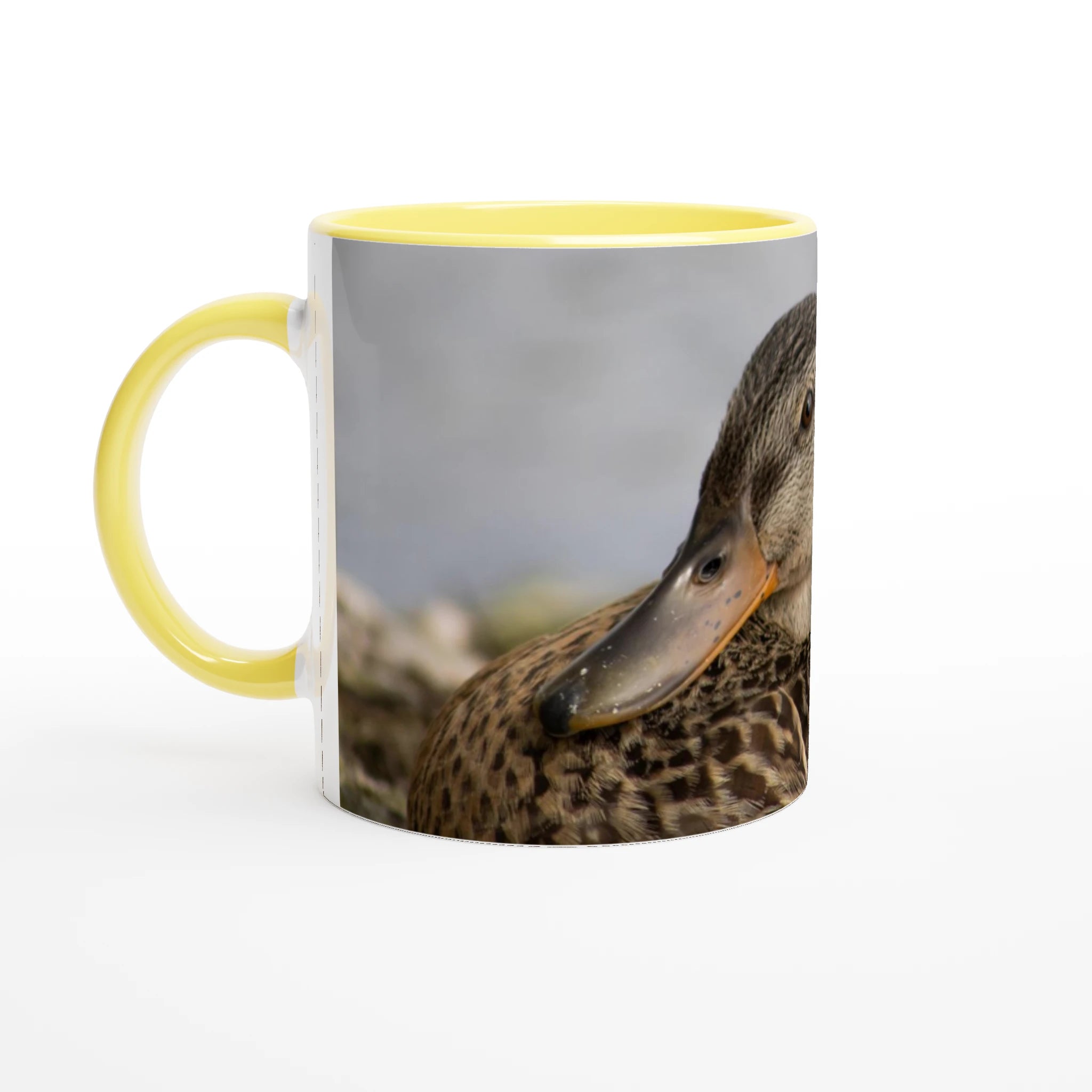 a17cb1eb-4bf6-Tasse-canard-colvert-femelle-jaune4d62-8c5d-7aaa73050fd3