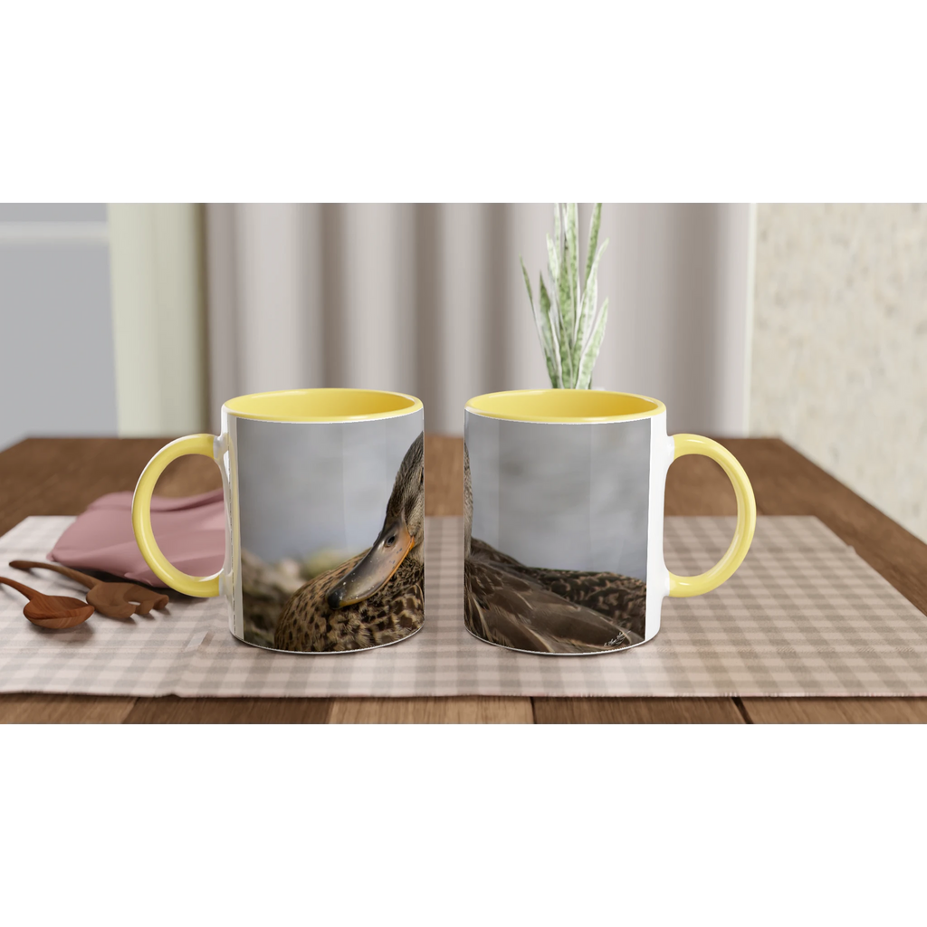 Tasse-canard-colvert-femelle-montage