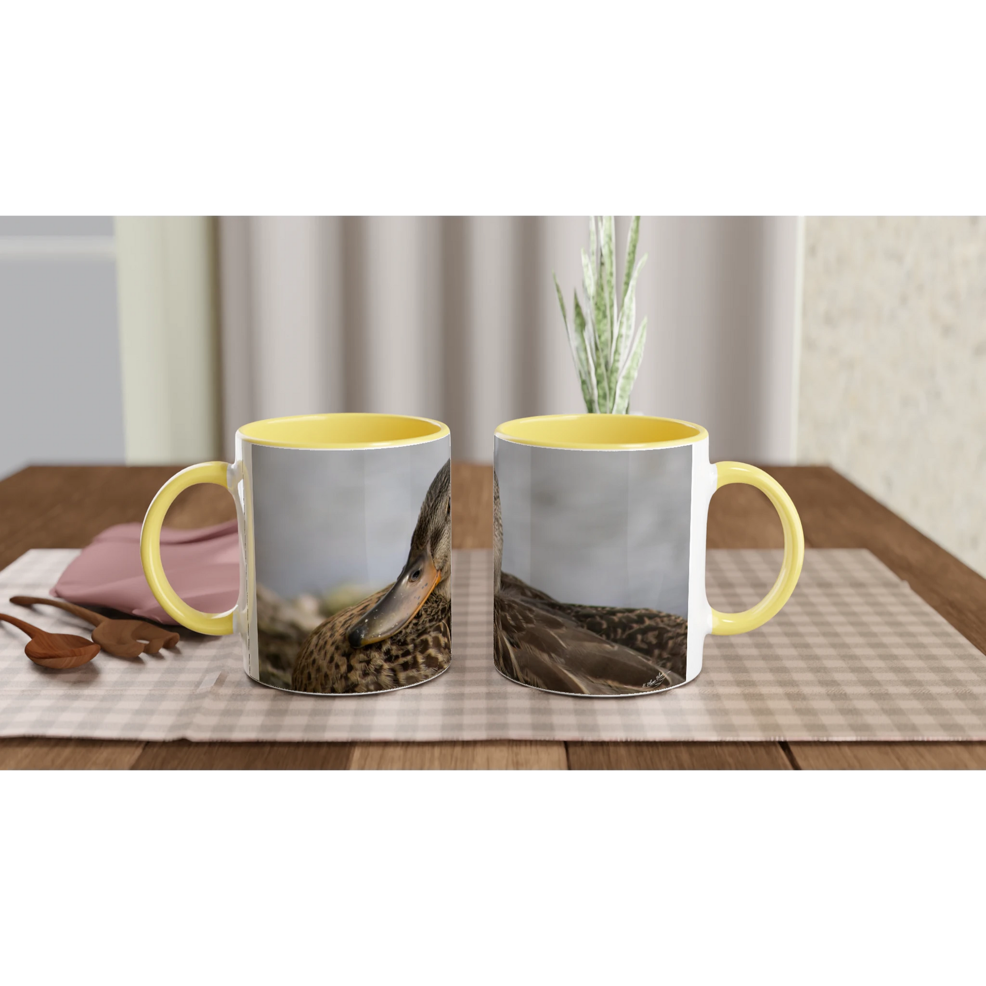 Tasse-canard-colvert-femelle-montage
