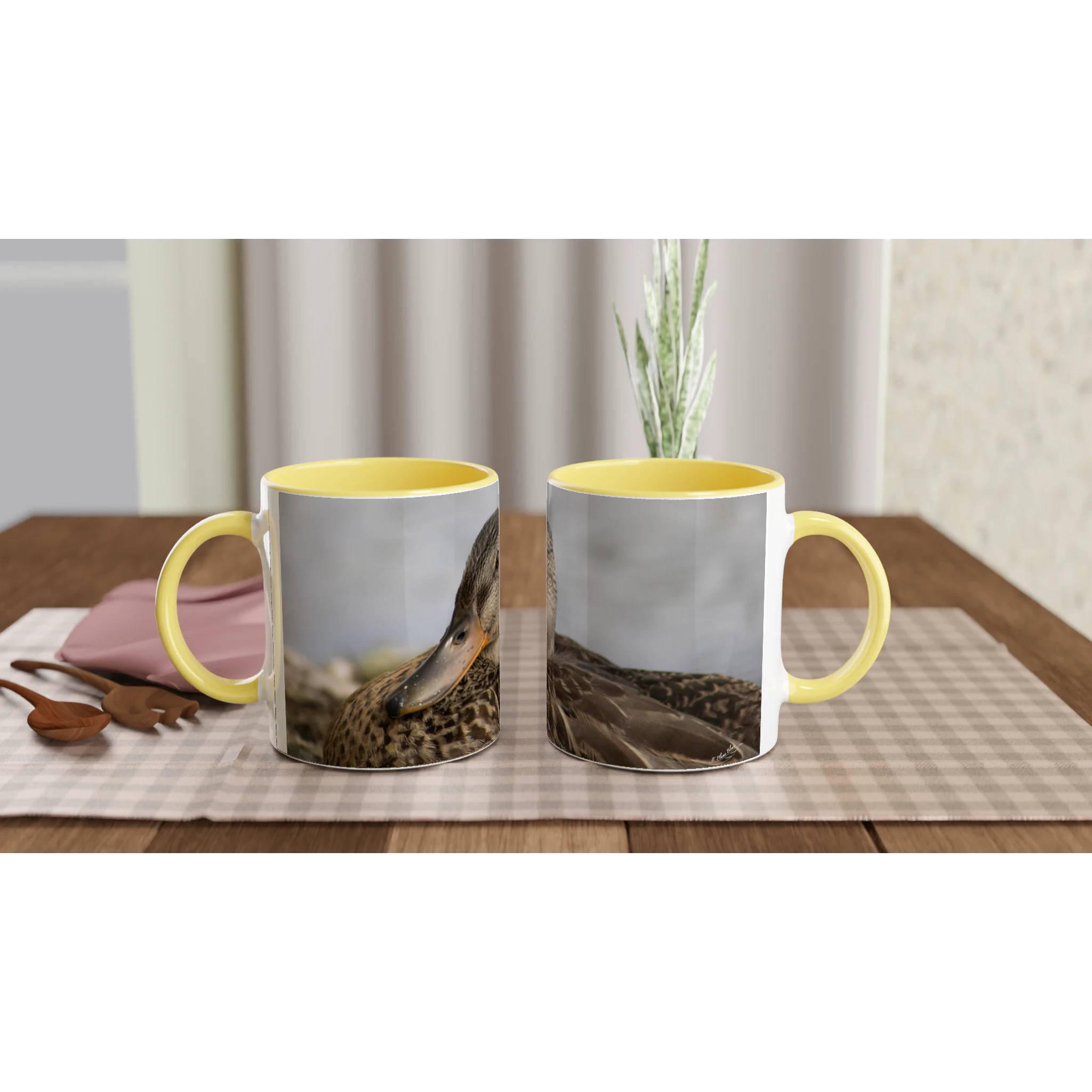 Tasse-canard-colvert-femelle-montage