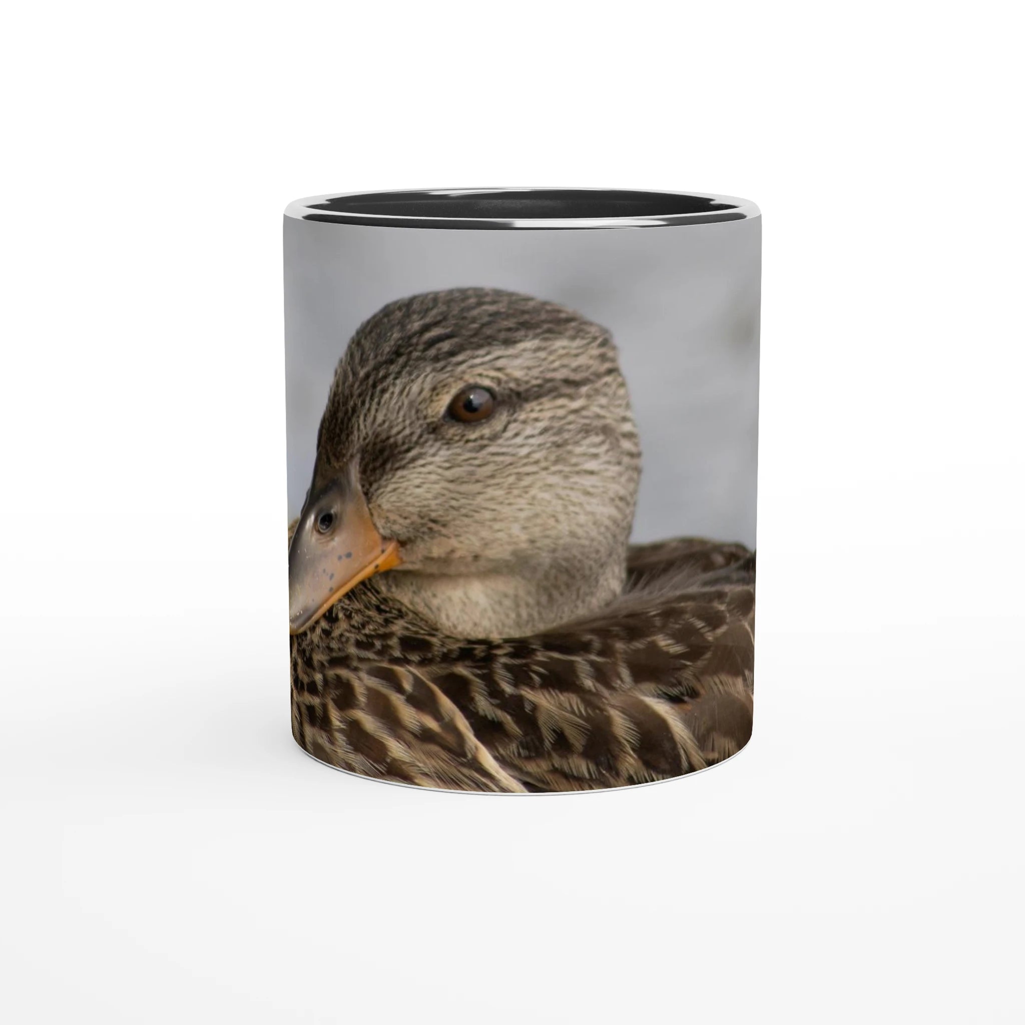 Tasse-canard-colvert-femelle-noire