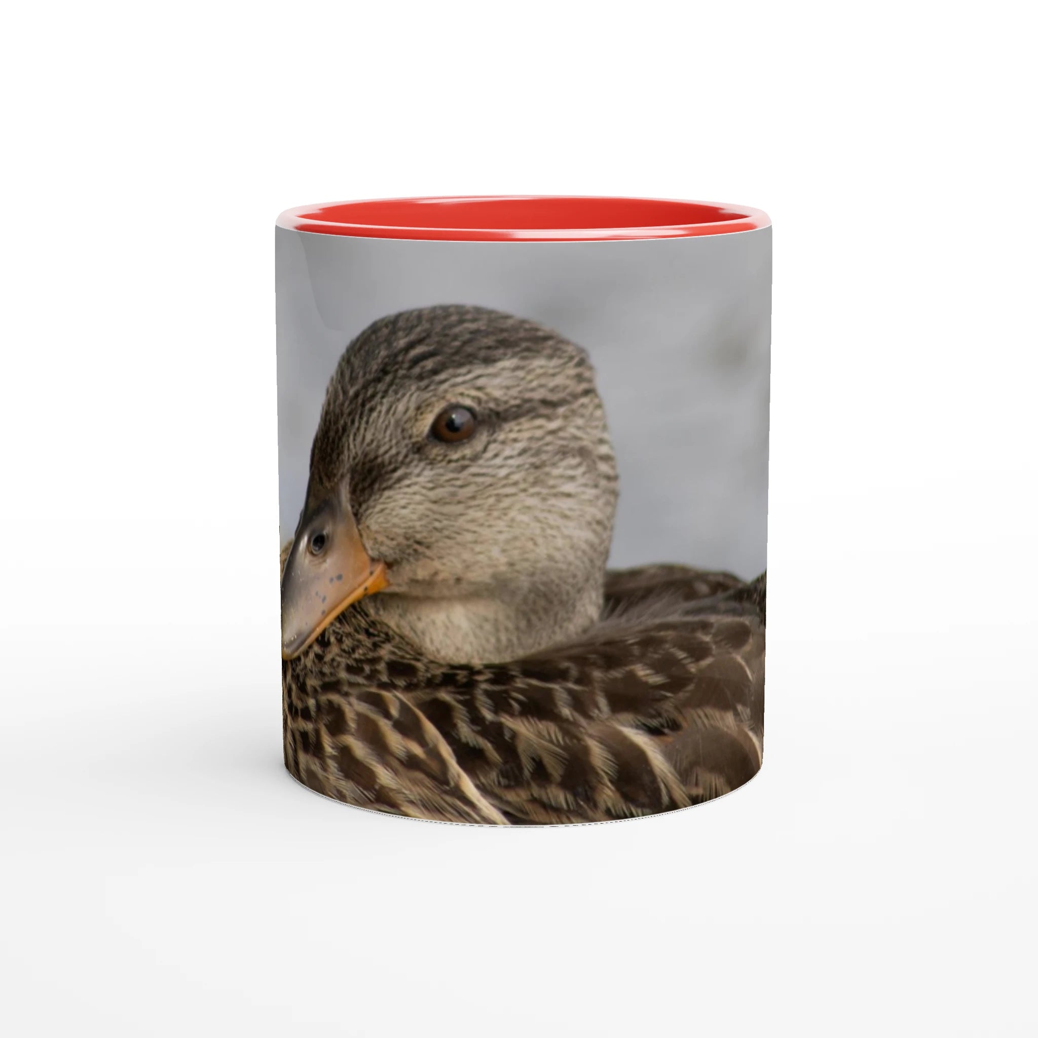 Tasse-canard-colvert-femelle-rouge