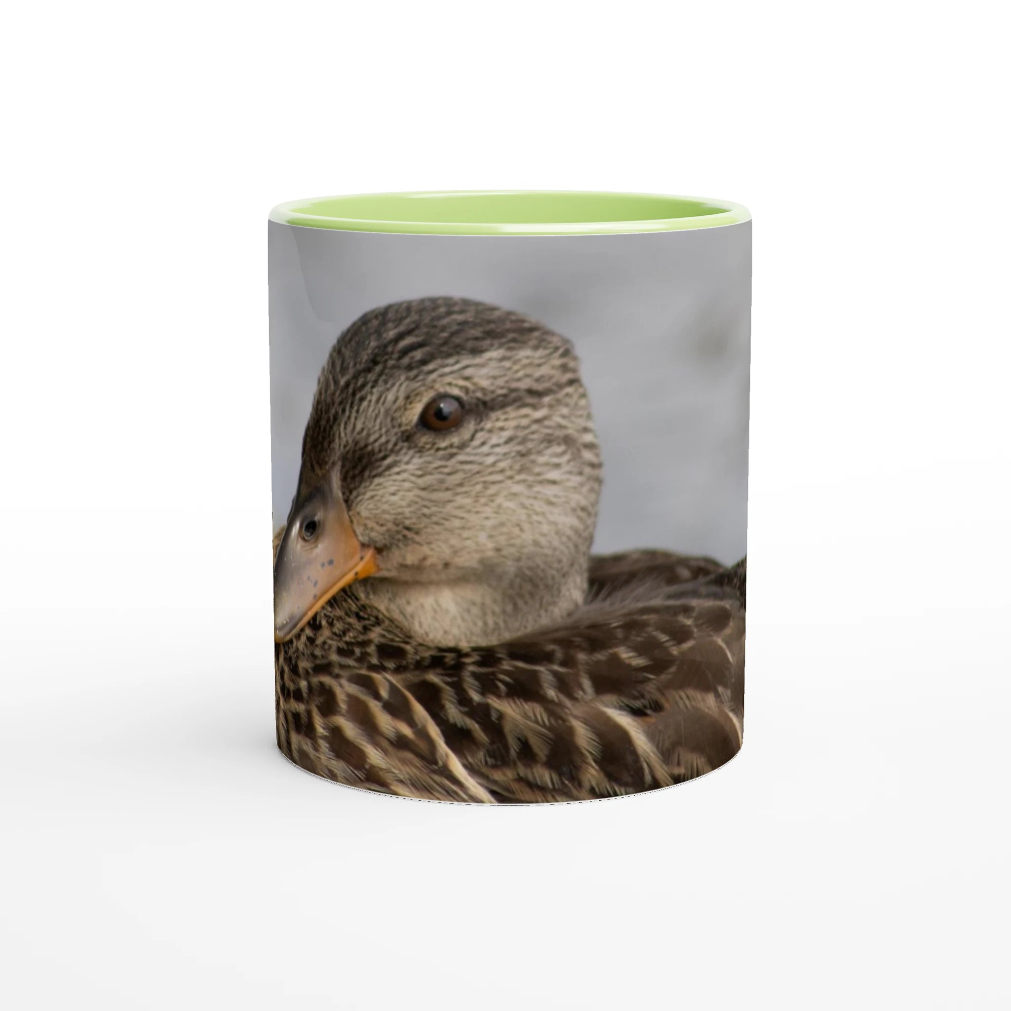 Tasse-canard-colvert-femelle-verte