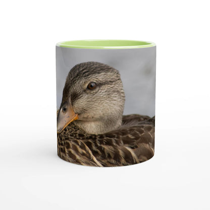 Tasse-canard-colvert-femelle-verte