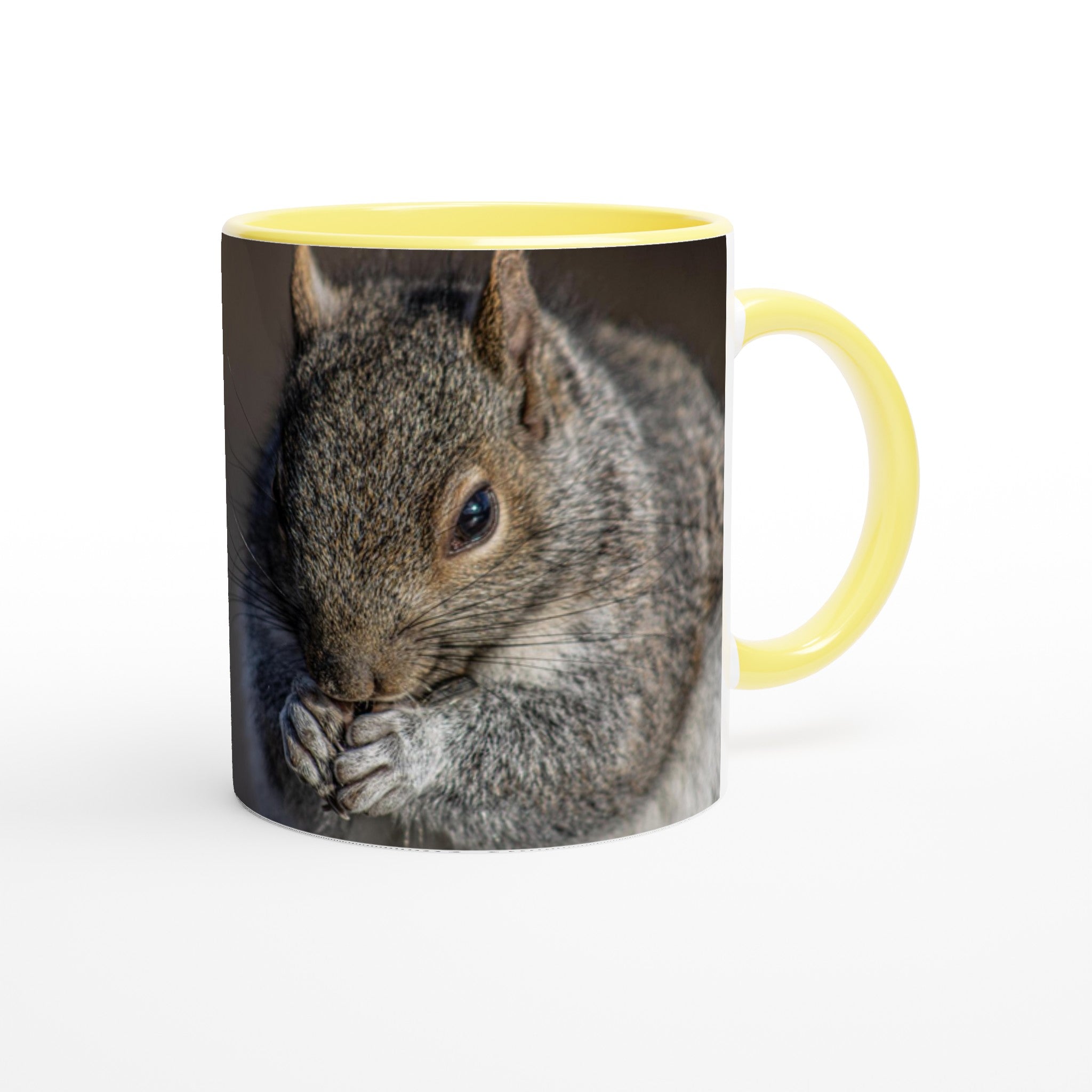Tasse-ecureuil-Phil-4-19