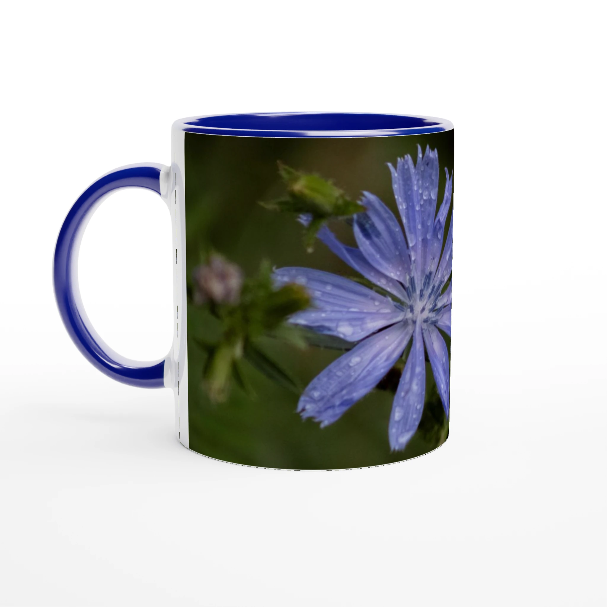Tasse-fleur-Chicorée-sauvage-bleue