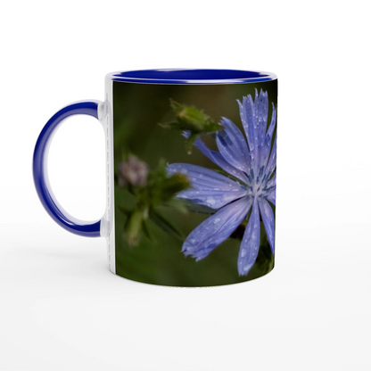 Tasse-fleur-Chicorée-sauvage-bleue