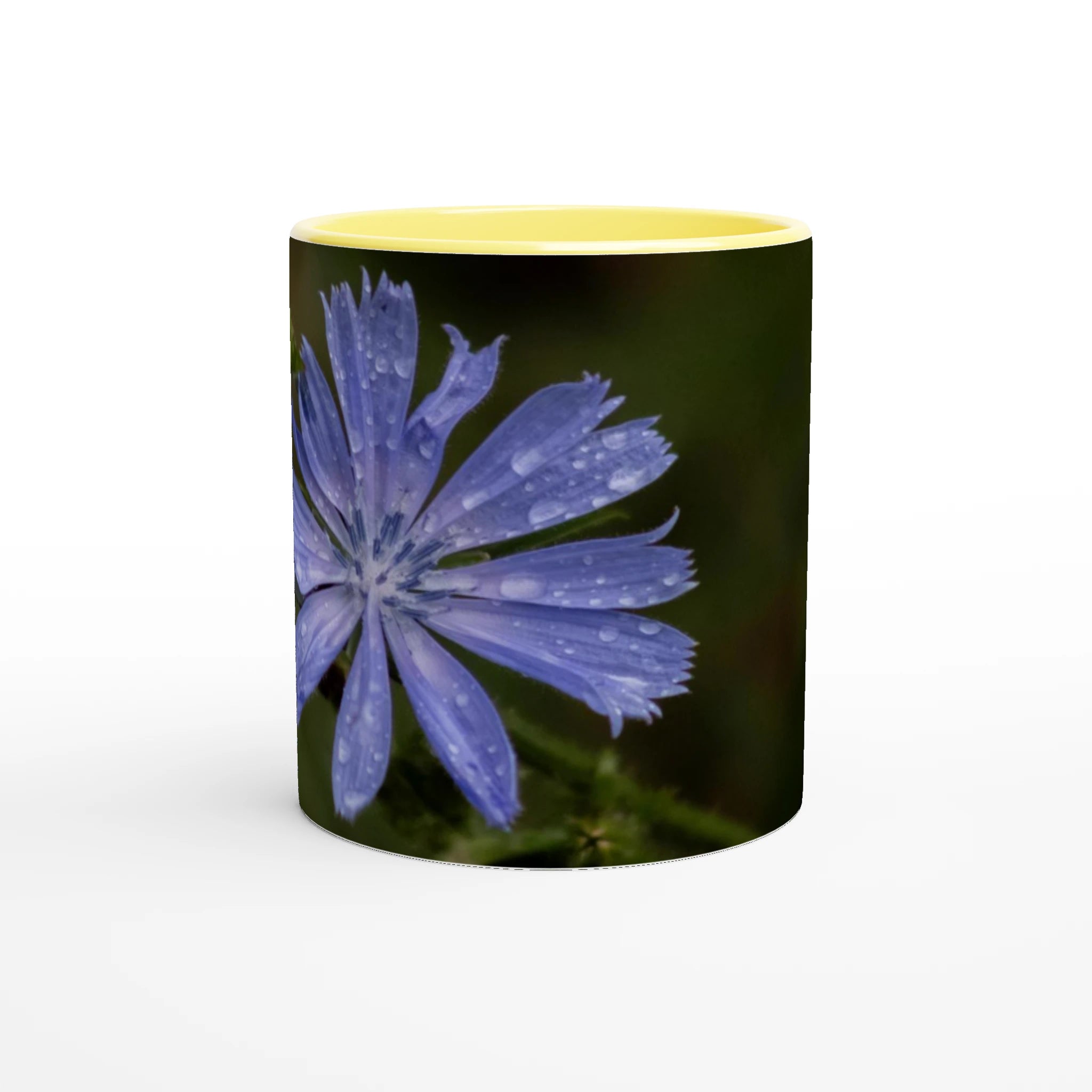 Tasse-fleur-Chicorée-sauvage-devant
