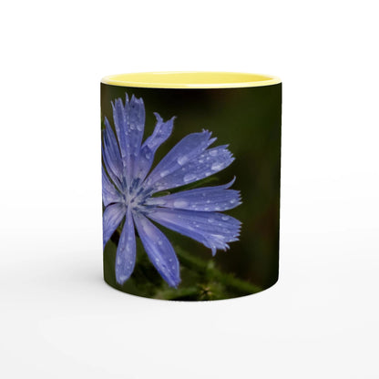 Tasse-fleur-Chicorée-sauvage-devant