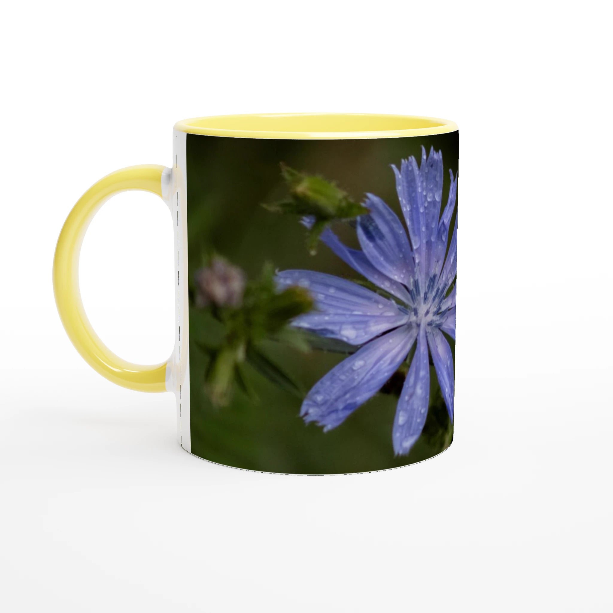 Tasse-fleur-Chicorée-sauvage-jaune