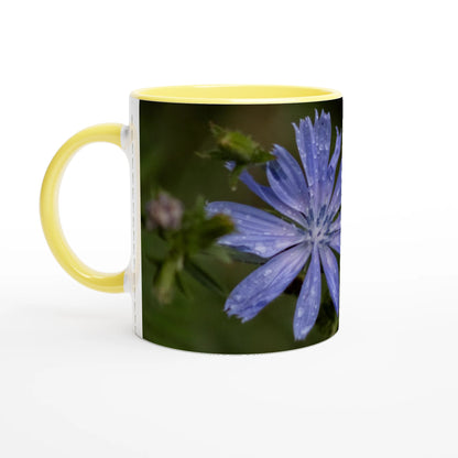 Tasse-fleur-Chicorée-sauvage-jaune