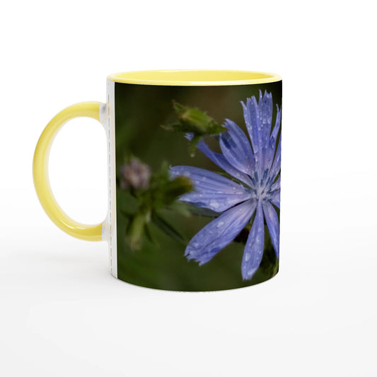 Tasse-fleur-Chicorée-sauvage-jaune