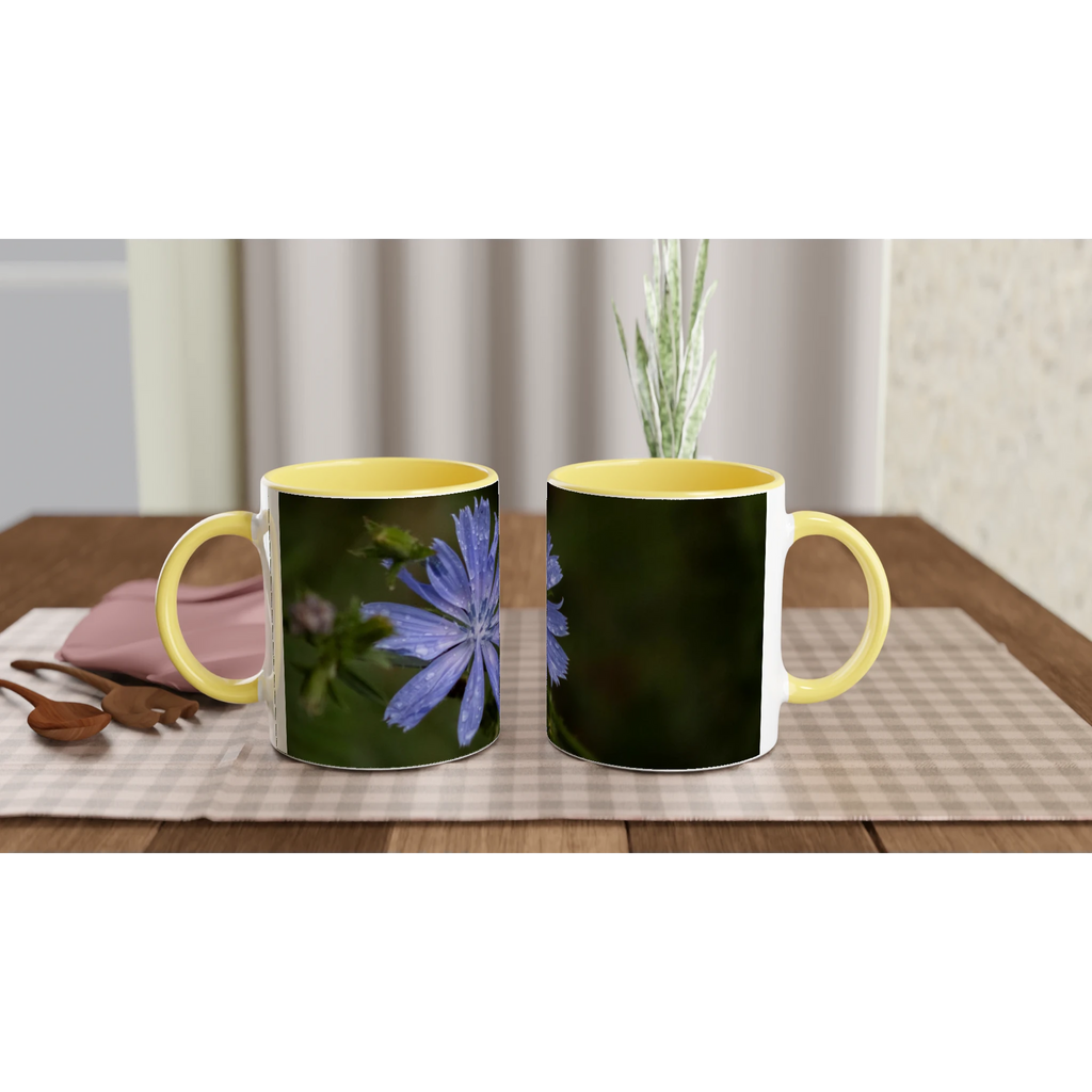 Tasse-fleur-Chicorée-sauvage-montage