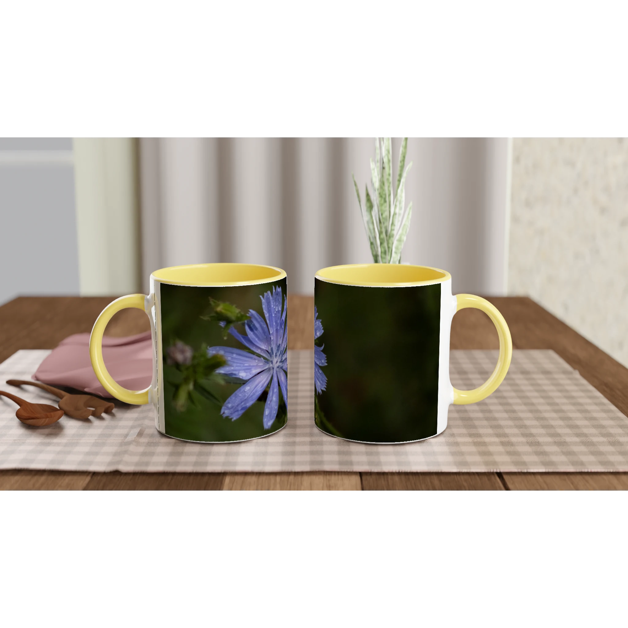 Tasse-fleur-Chicorée-sauvage-montage
