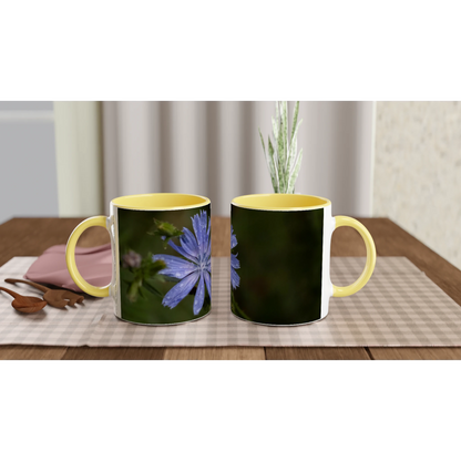 Tasse-fleur-Chicorée-sauvage-montage