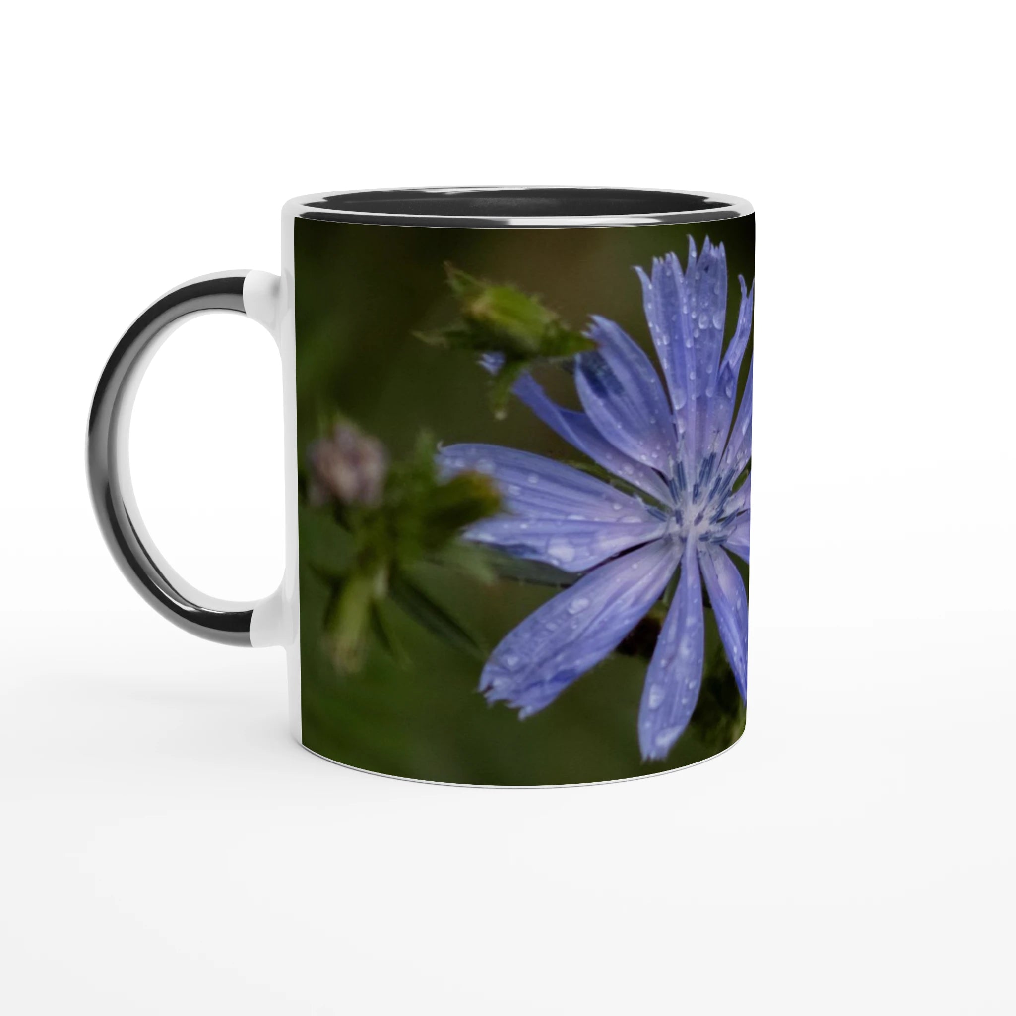 Tasse-fleur-Chicorée-sauvage-noire
