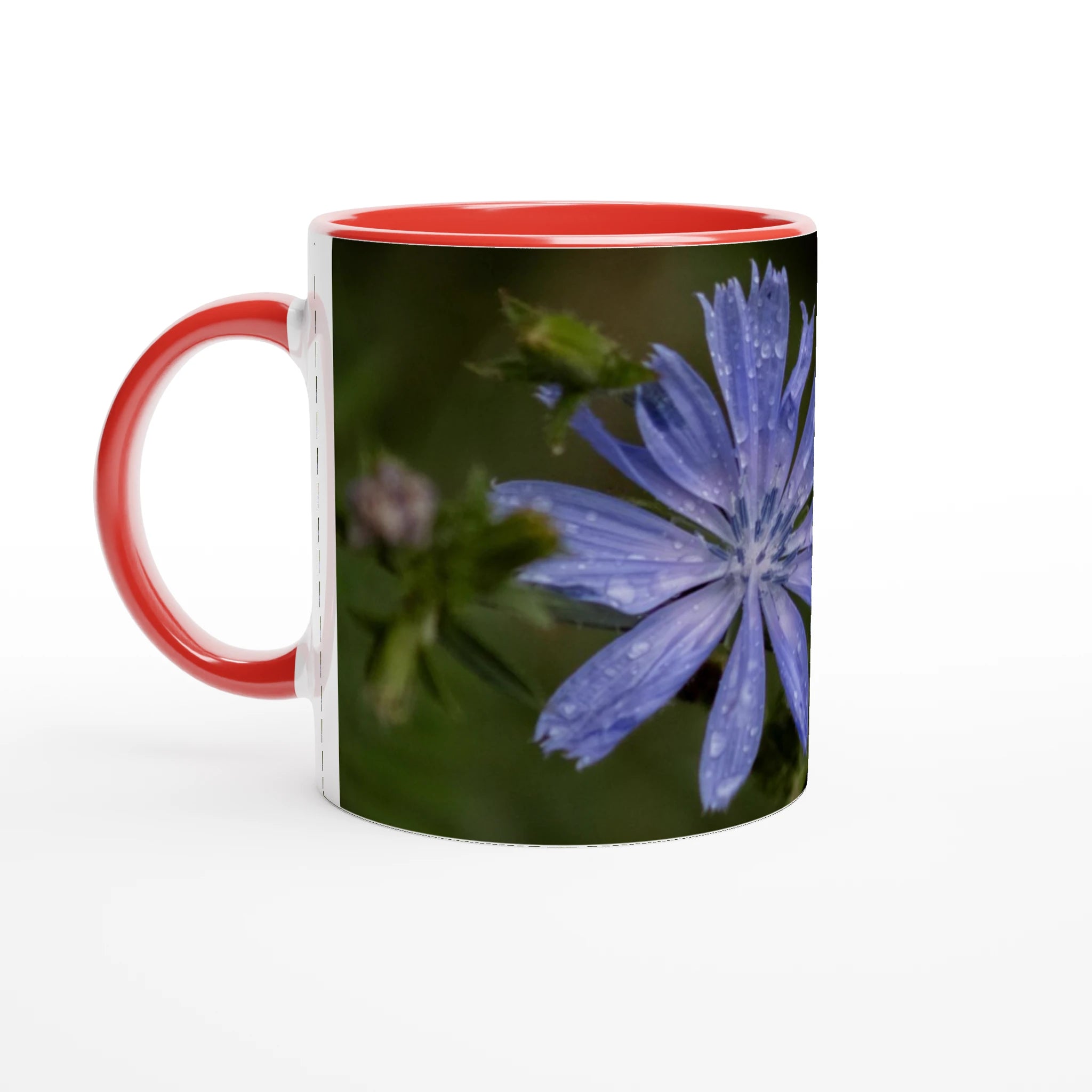 Tasse-fleur-Chicorée-sauvage-rouge