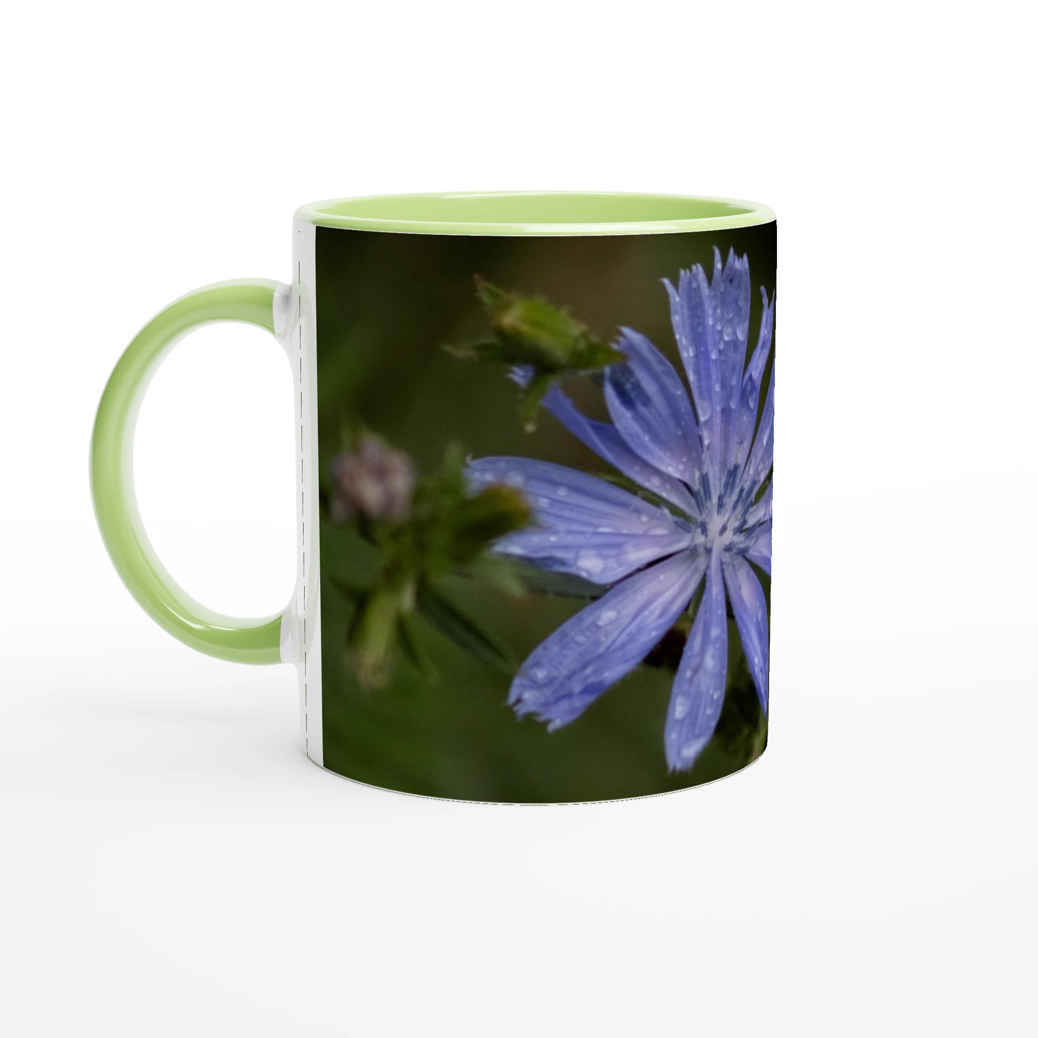 Tasse-fleur-Chicorée-sauvage-verte