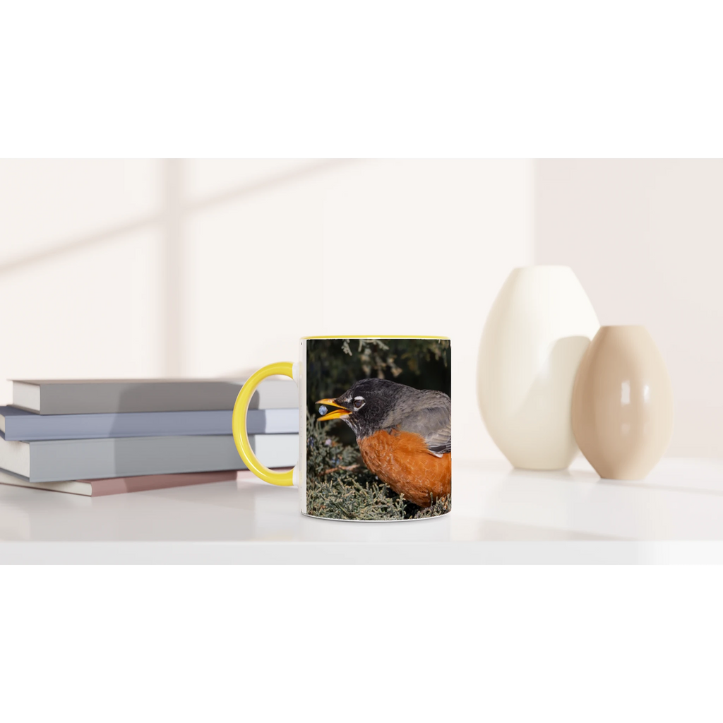 Tasse-merle-d-amerique-montage-devant-Ps-37-4