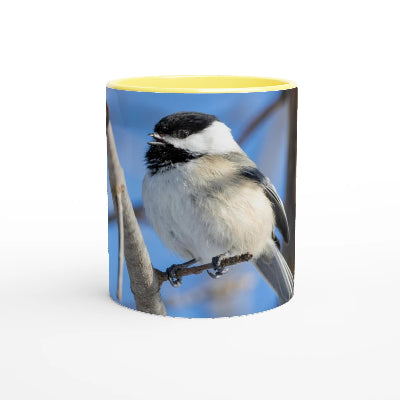 Tasse-mesange-a-tete-noir-jaune