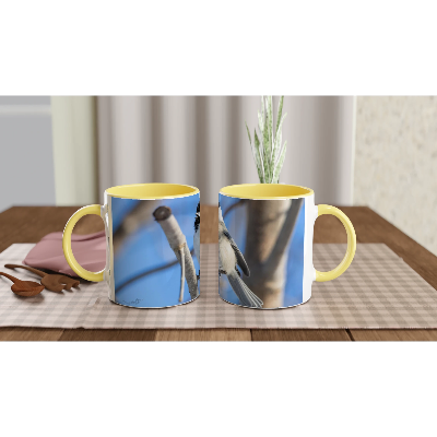 Tasse-mesange-a-tete-noir-montage