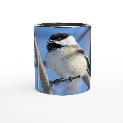 Tasse-mesange-a-tete-noir-noire