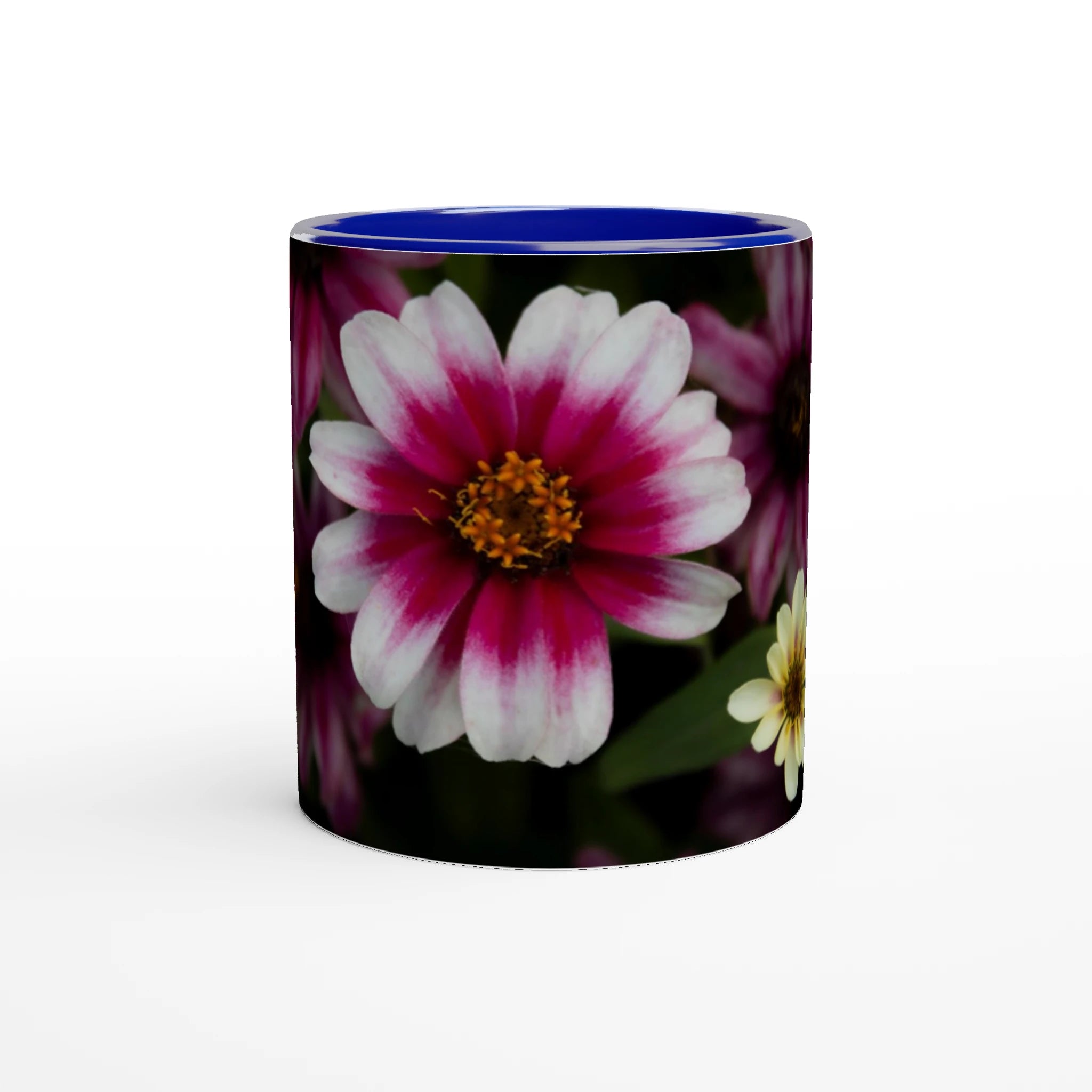 Tasse-rose-et-blanche-bleue