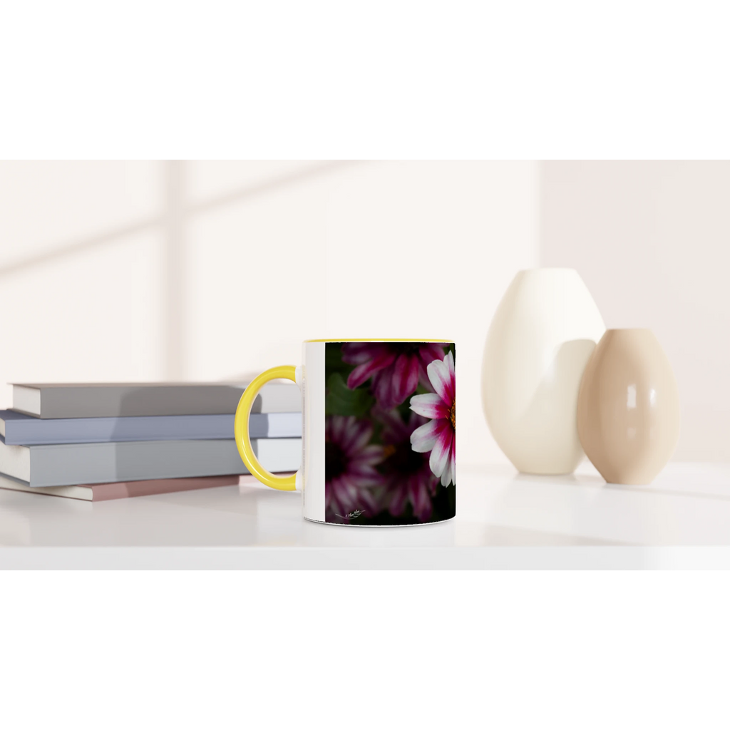 Tasse-rose-et-blanche-montage-devant
