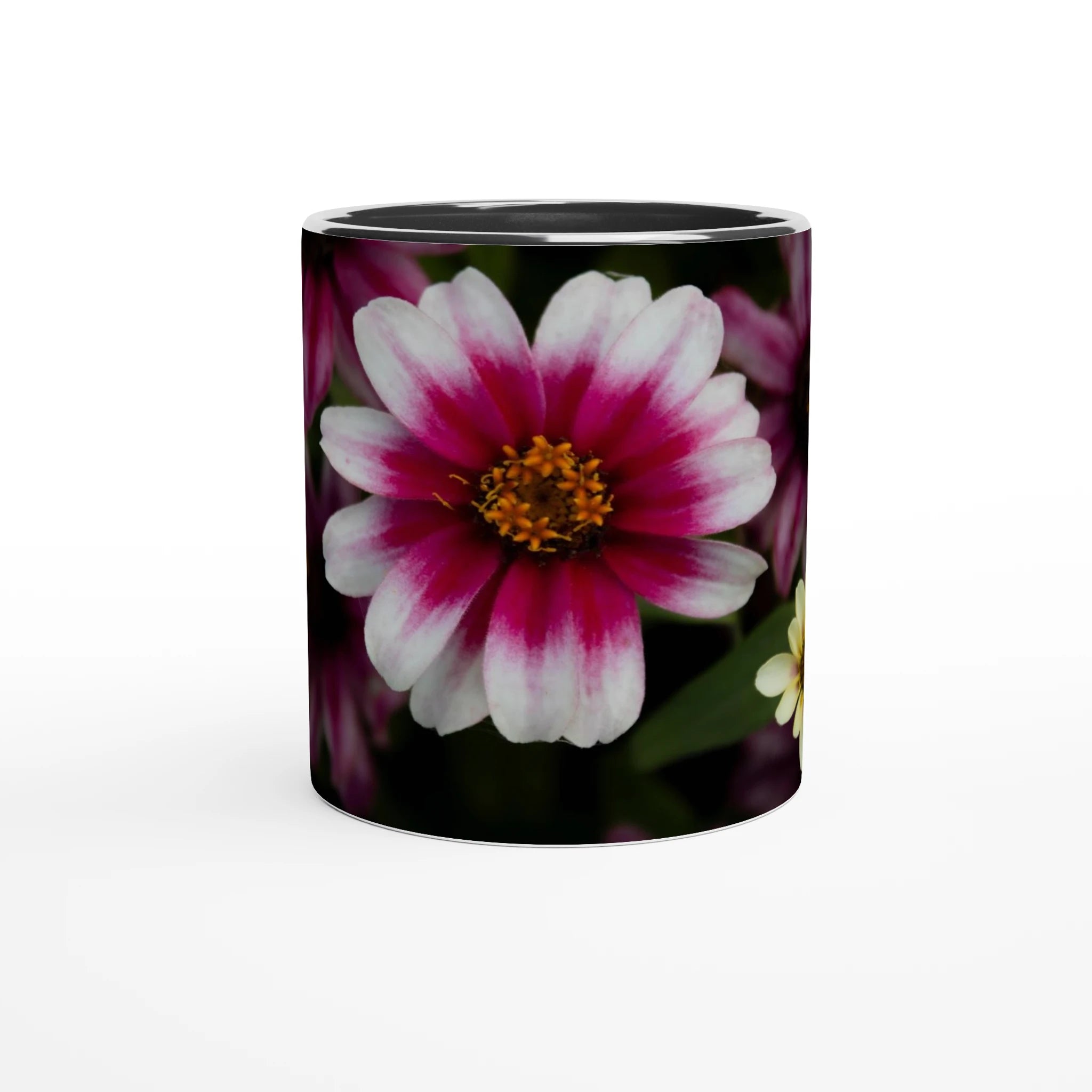 Tasse-rose-et-blanche-noire