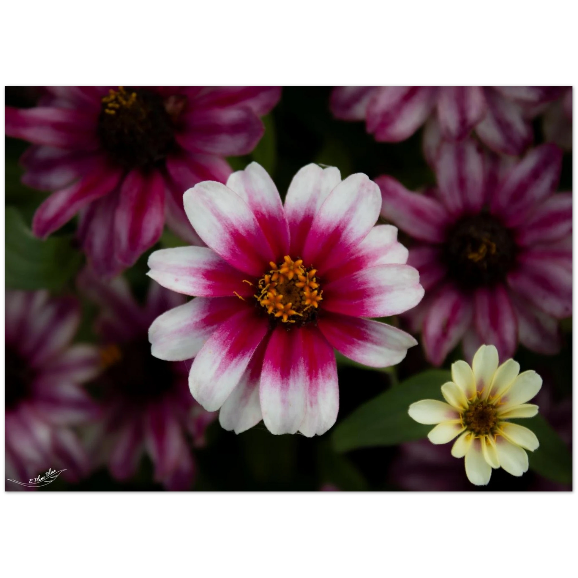 ba673b14-f5a6-4b14-b015-786ec1f007e6