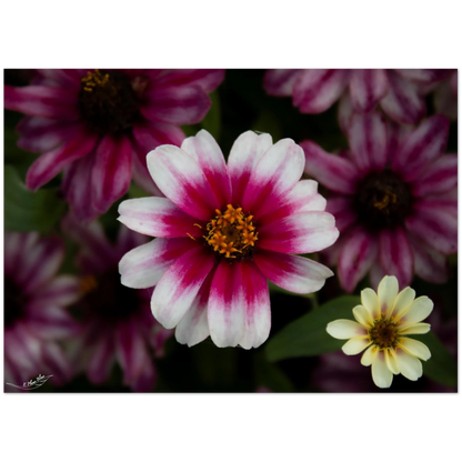 ba673b14-f5a6-4b14-b015-786ec1f007e6