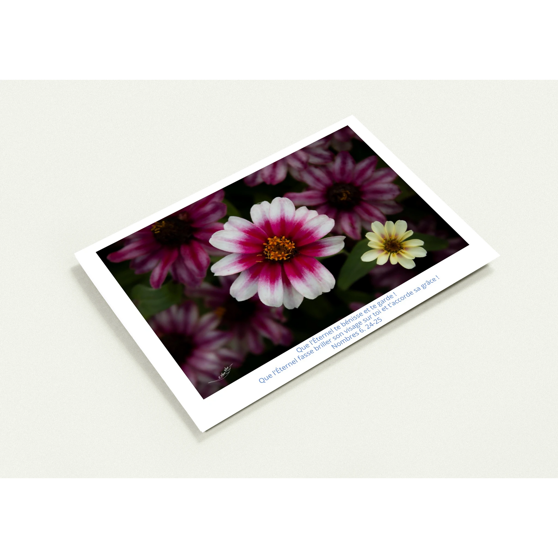 cd2f3624-944b-42fb-ae9c-b954db742d62
