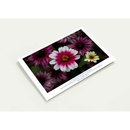 cd2f3624-944b-42fb-ae9c-b954db742d62