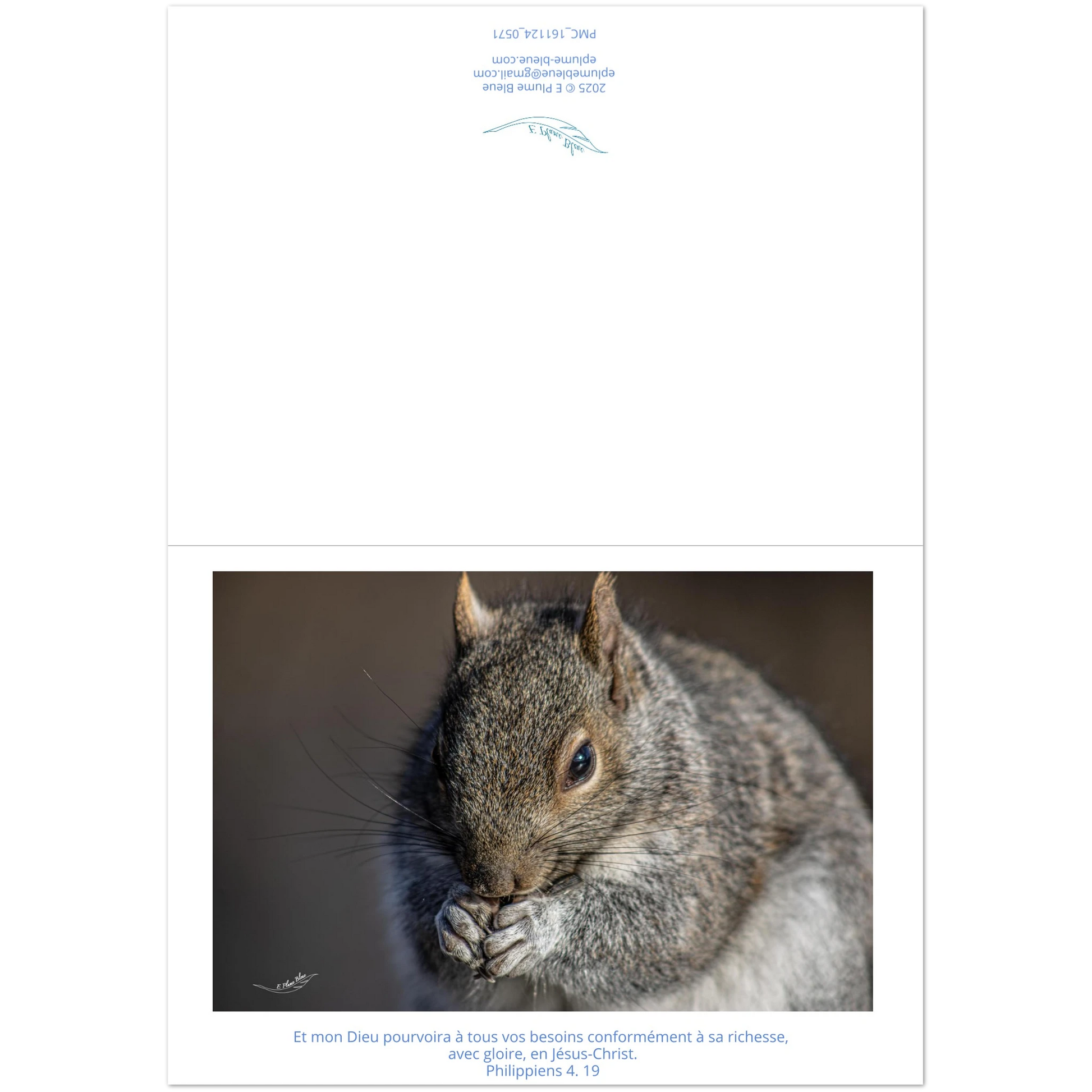 d4e52479-1efe-40ff-a276-fdc6841a2e5d