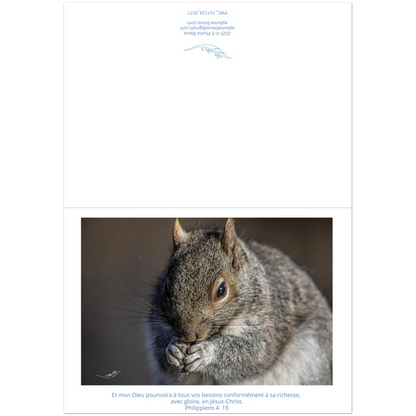 d4e52479-1efe-40ff-a276-fdc6841a2e5d