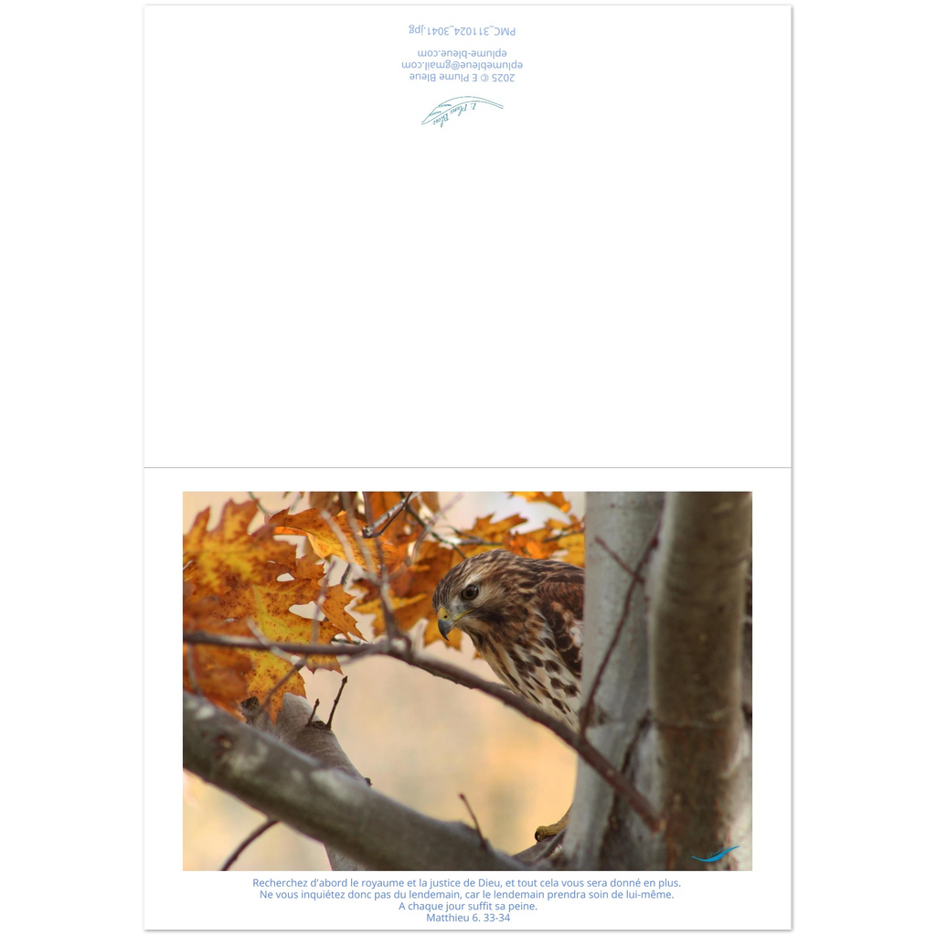 devant-et-arriere-carte-buse-Matthieu-6-33-34