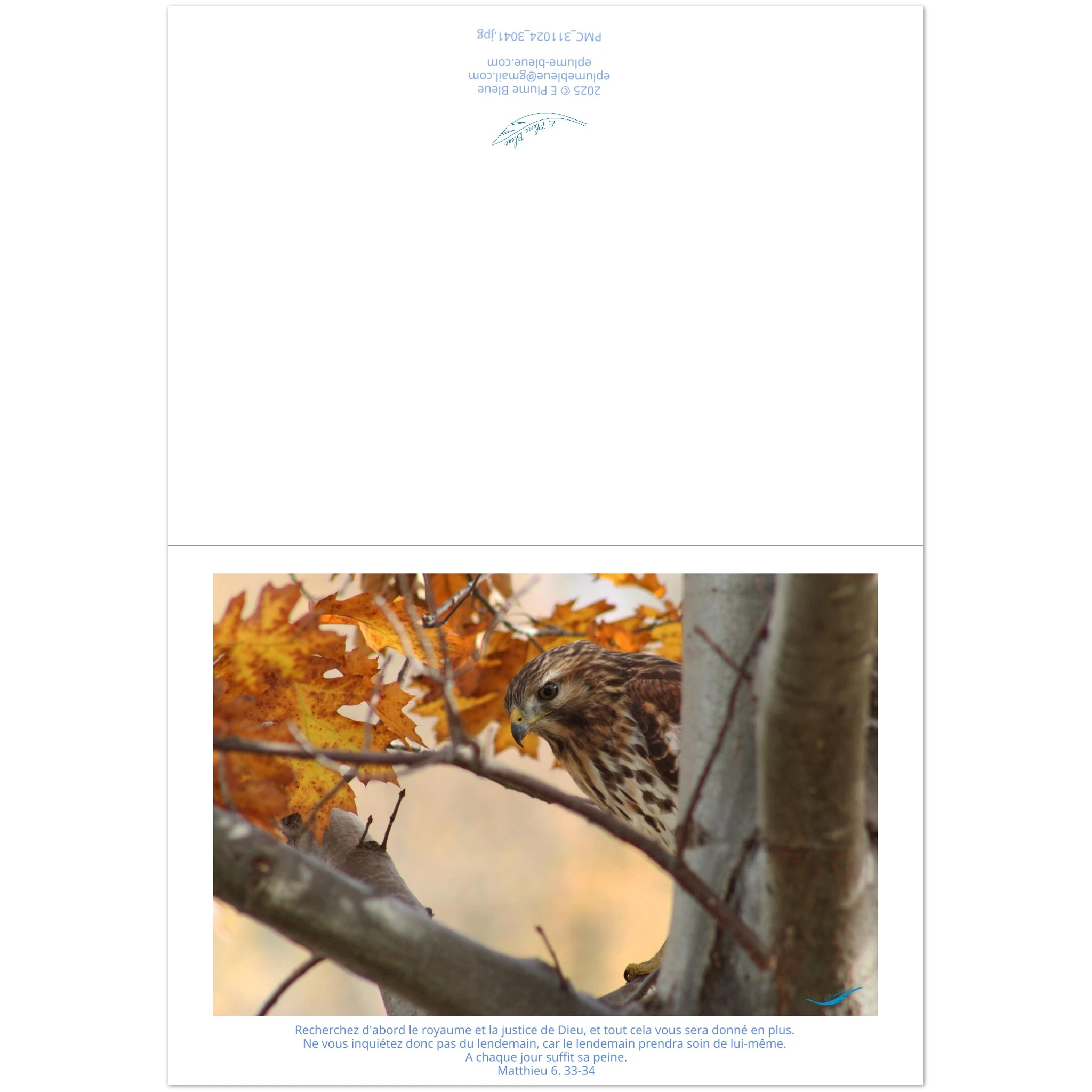 devant-et-arriere-carte-buse-Matthieu-6-33-34