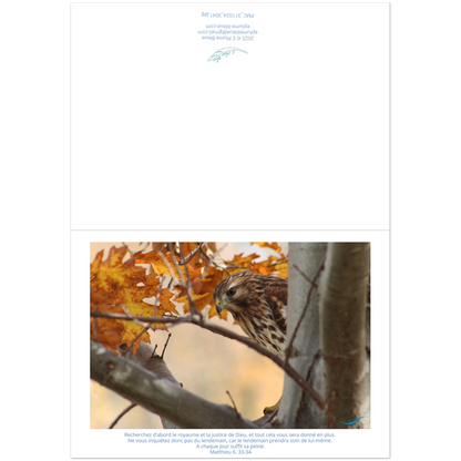 devant-et-arriere-carte-buse-Matthieu-6-33-34