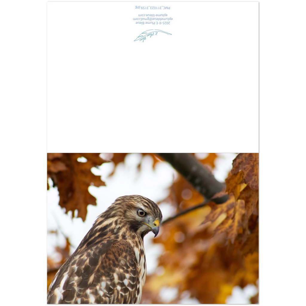 devant-et-arriere-carte-profil-buse