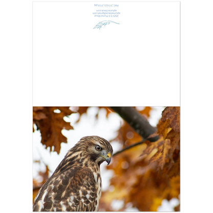 devant-et-arriere-carte-profil-buse