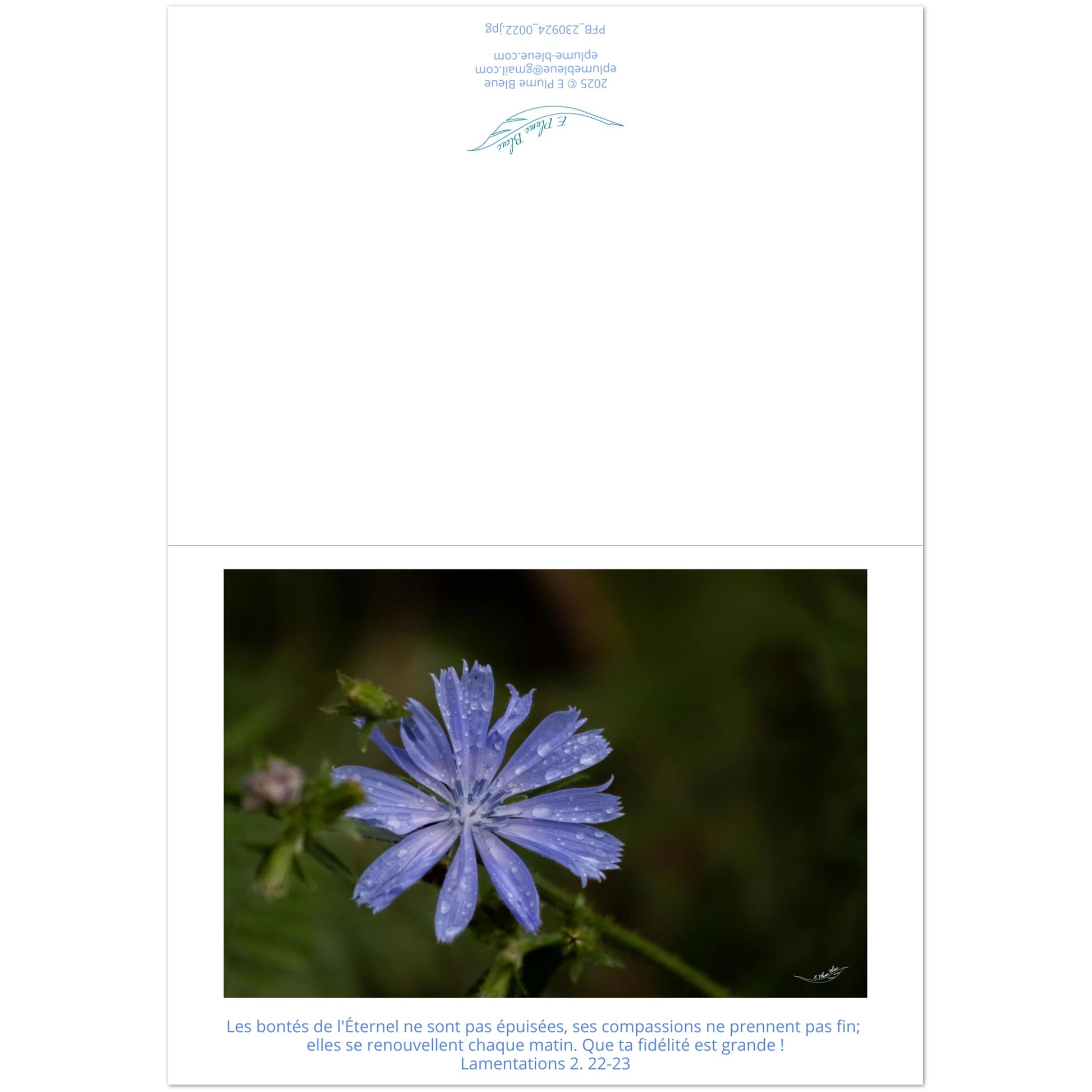 e468d0ca-415f-43d2-a113-9cc316ae79c9