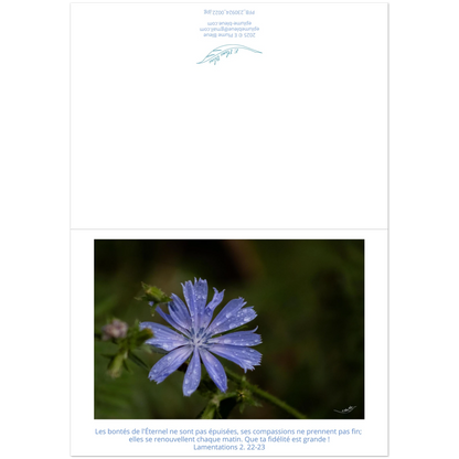 e468d0ca-415f-43d2-a113-9cc316ae79c9