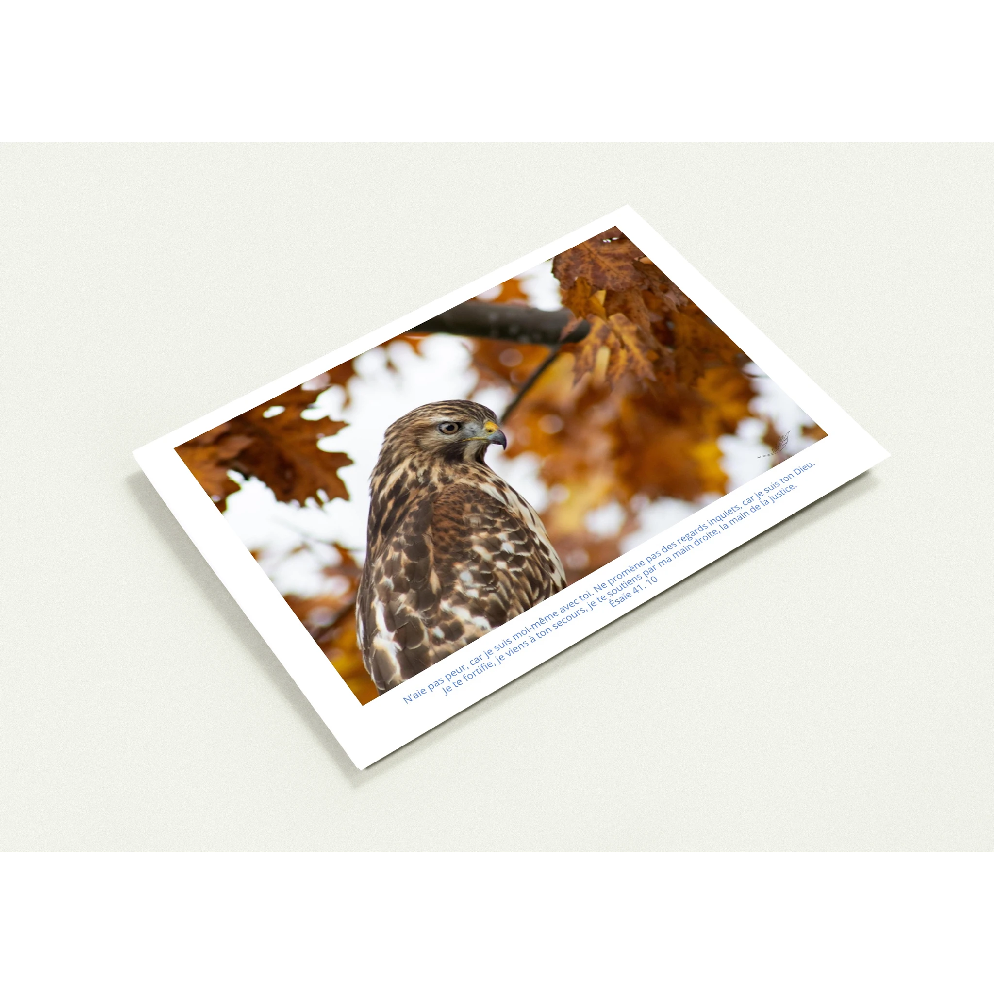 profil-carte-profil-buse-Esaie-41-10