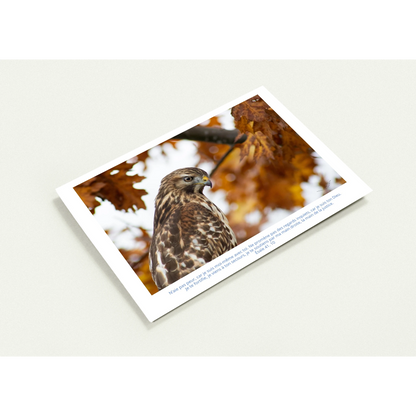 profil-carte-profil-buse-Esaie-41-10